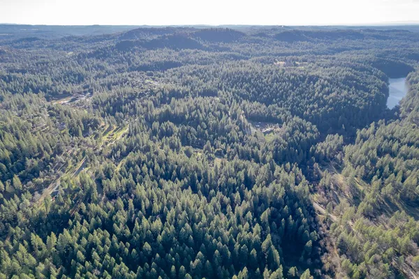 a view of a yard with a tree