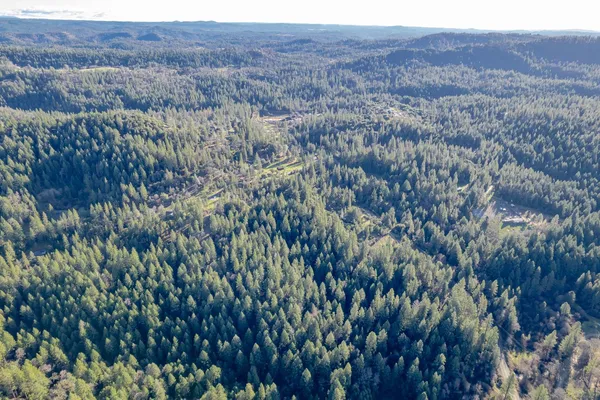 $55,000 | 3500 Amapola Court, Camino, CA 95709