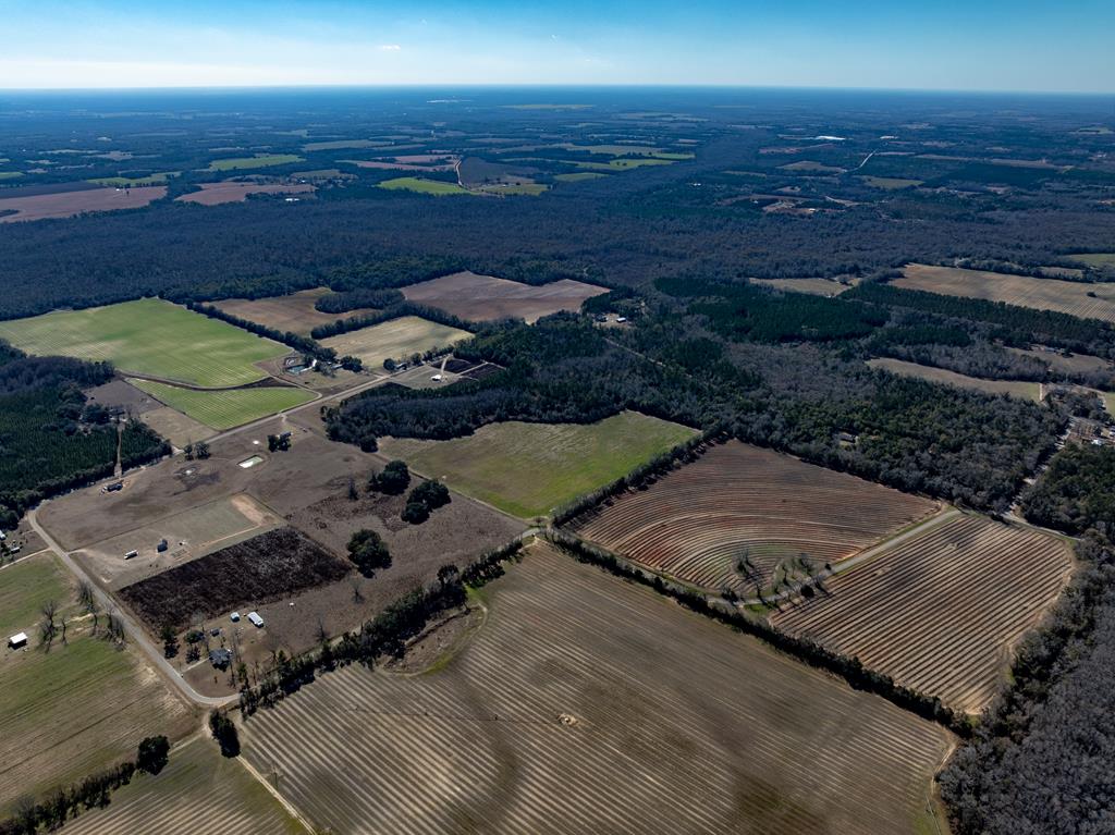 31.5-ac 31.5-ac Rammer Loop Road Dothan, AL 36301 - Photo 8 of 49