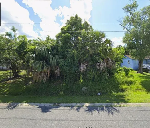 a view of a yard