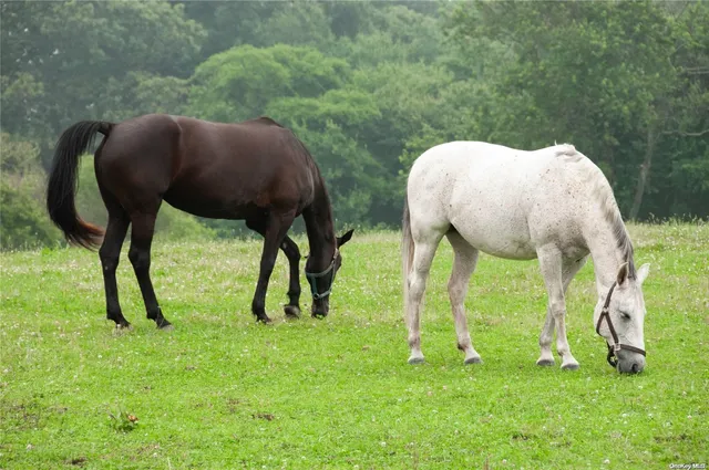 a view of two chairs and a table in a yard