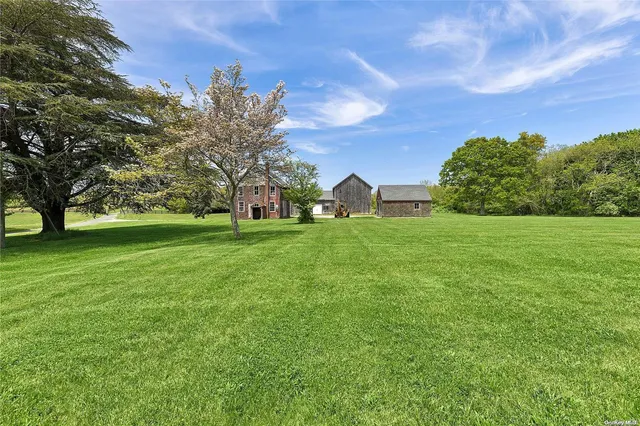 a view of a trees with a big yard