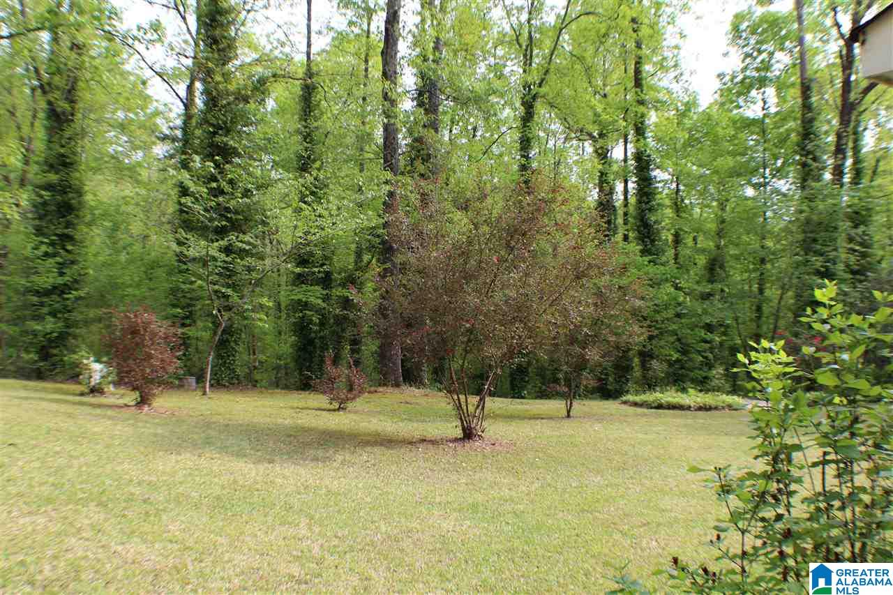 807 South Walston Bridge Road Jasper, AL 35501 - Photo 35 of 39 Gallery Image 35