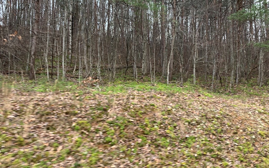Lot20 Wolf Ridge Lane Murphy, NC 28906 - Photo 15 of 17 Additional View