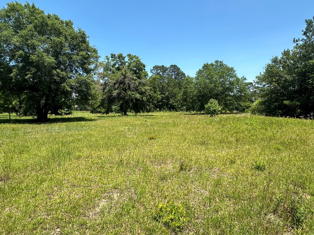 500 5 Mile Road Eufaula, AL 36027 - Photo 39 of 50