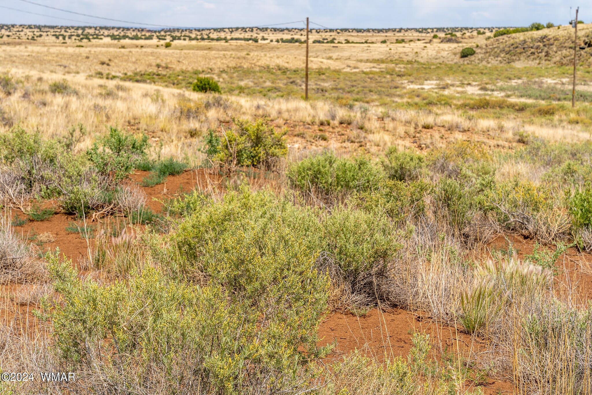 35 Ranch Road Concho, AZ 85924 - Photo 18 of 26 EXTRA1