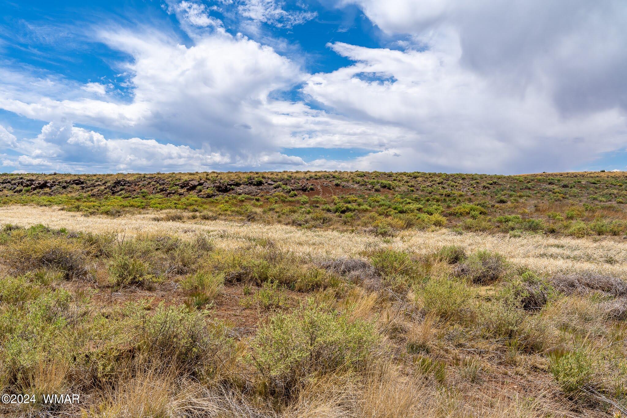 35 Ranch Road Concho, AZ 85924 - Photo 19 of 26 SE CORNER WEST