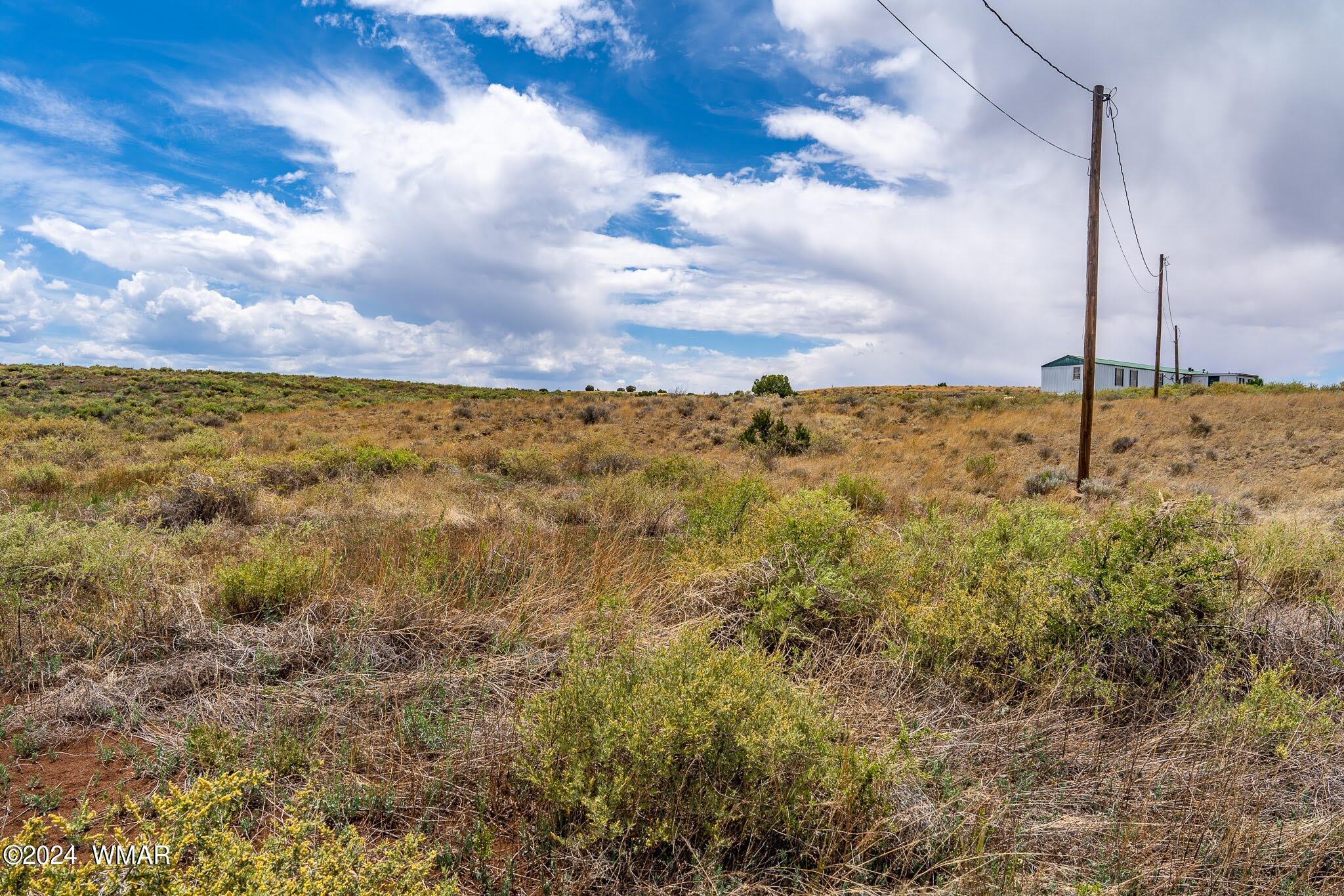 35 Ranch Road Concho, AZ 85924 - Photo 3 of 26 MATTED DOWN FOLIAGE1