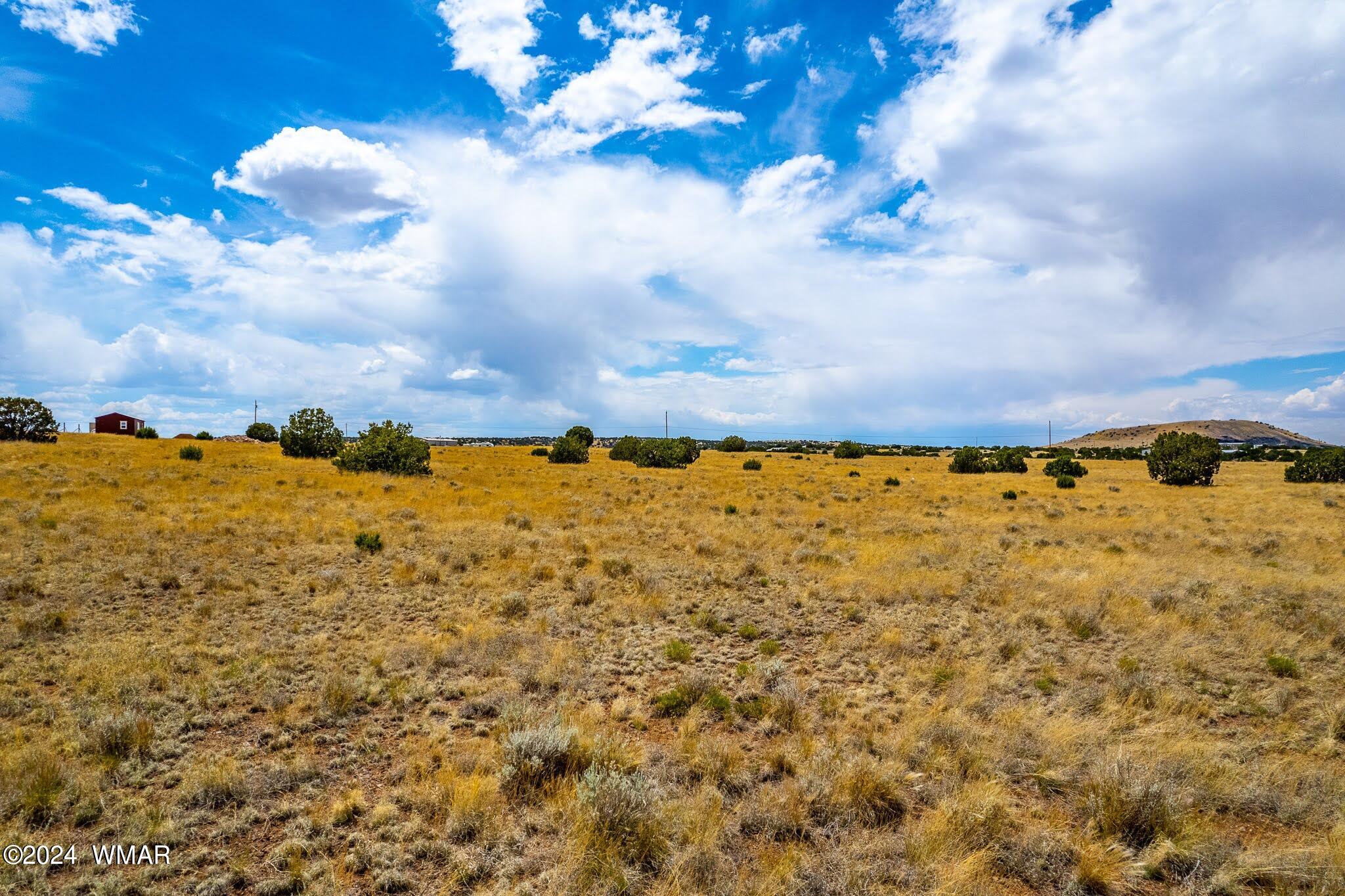 35 Ranch Road Concho, AZ 85924 - Photo 5 of 26 NW CORNER WEST