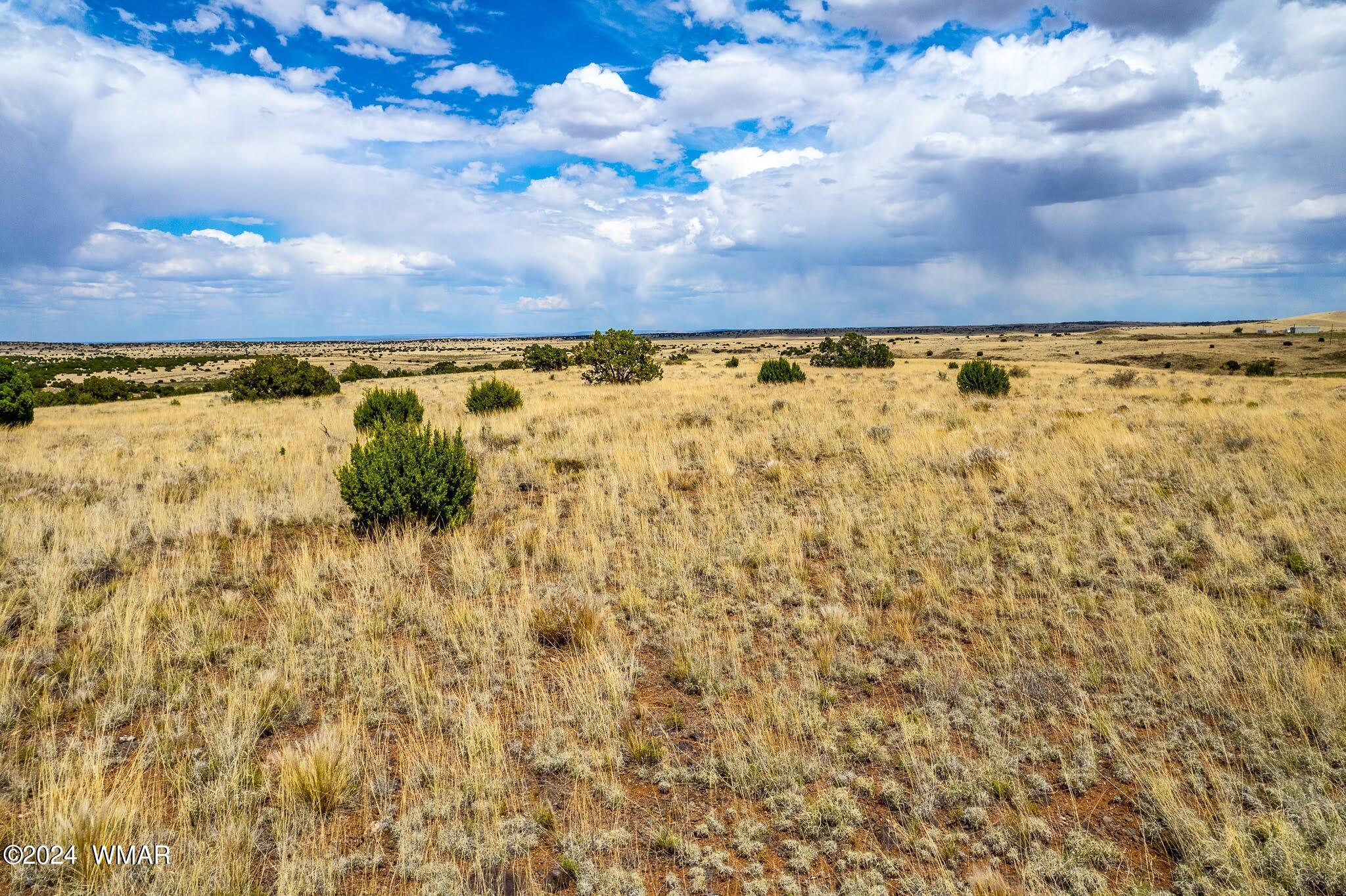 35 Ranch Road Concho, AZ 85924 - Photo 6 of 26 NW CORNER EAST