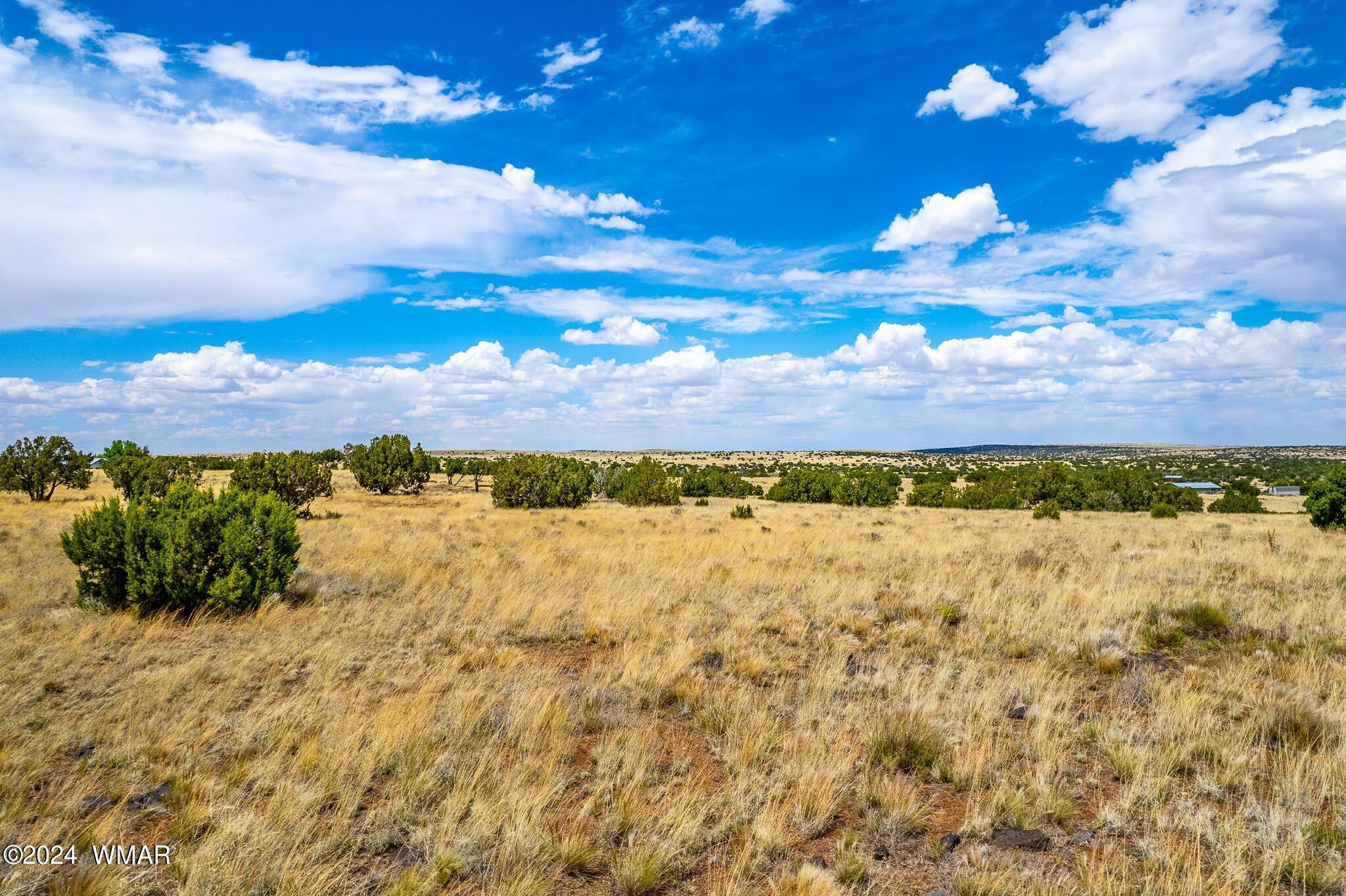 35 Ranch Road Concho, AZ 85924 - Photo 7 of 26 NW CORNER NORTH