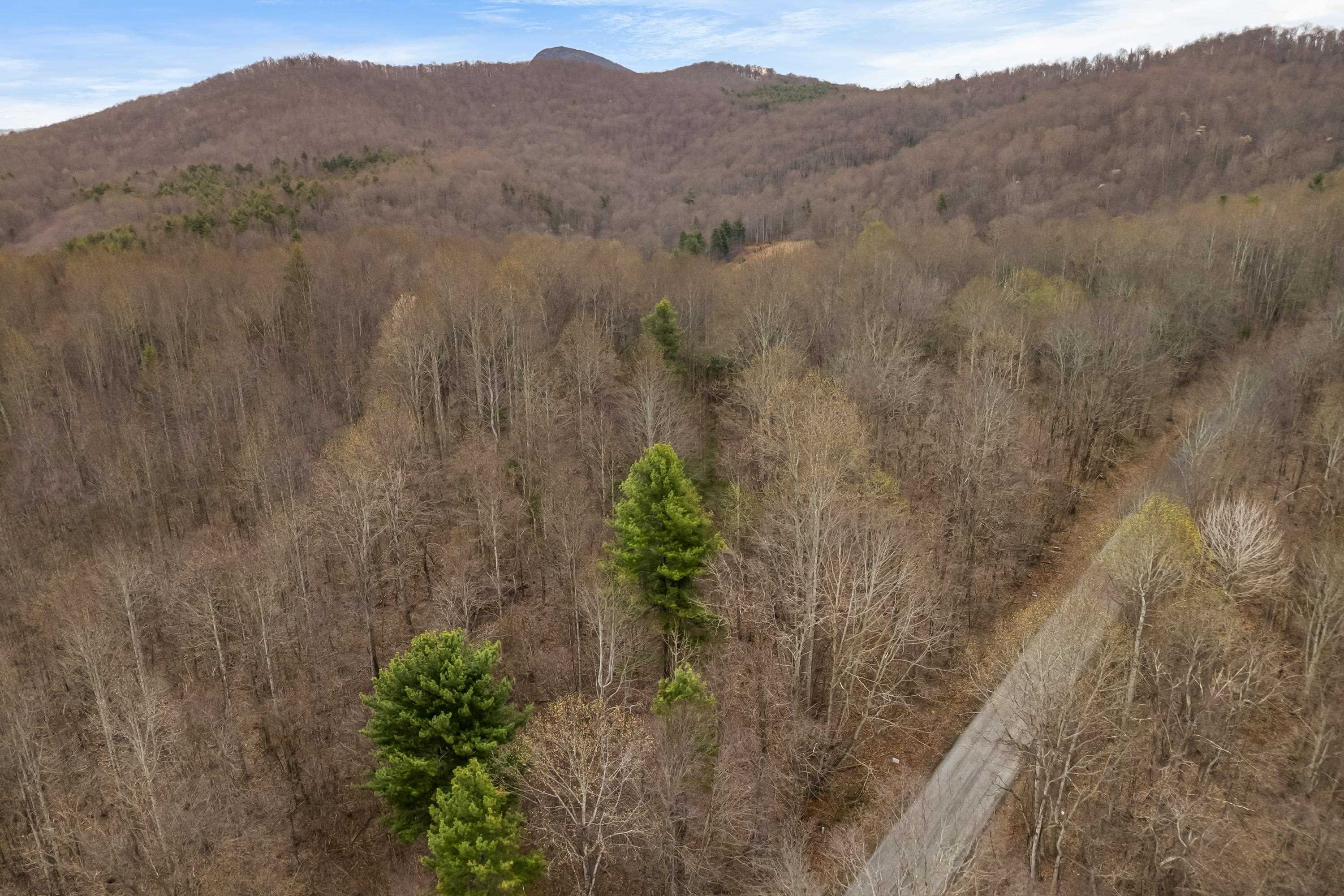 2301 Buffalo Mountain Road Southwest Willis, VA 24380 - Photo 11 of 37 Gallery Image 11