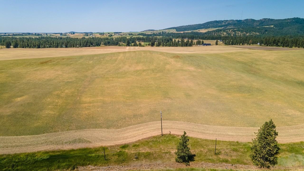 13507 East Gibbs Road Mica, WA 99023 - Photo 11 of 12