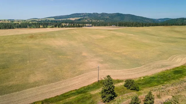 $225,000 | 13507 East Gibbs Road, Mica, WA 99023