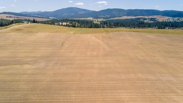 $225,000 | 13507 East Gibbs Road, Mica, WA 99023