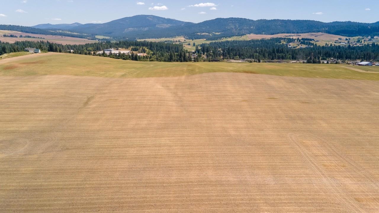 13507 East Gibbs Road Mica, WA 99023 - Photo 3 of 12