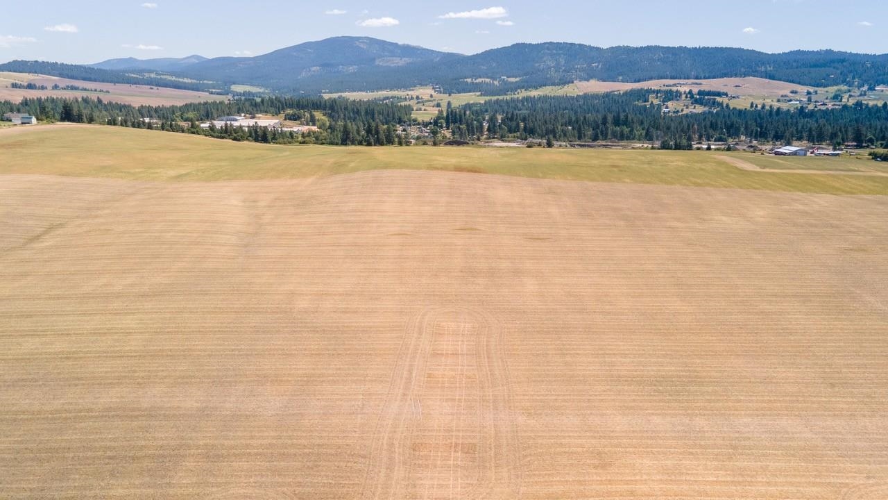 13507 East Gibbs Road Mica, WA 99023 - Photo 4 of 12