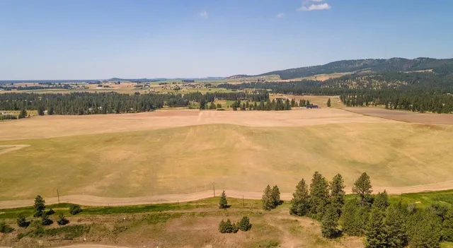 $225,000 | 13507 East Gibbs Road, Mica, WA 99023