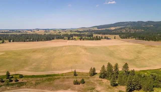 $225,000 | 13507 East Gibbs Road, Mica, WA 99023