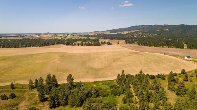 $225,000 | 13507 East Gibbs Road, Mica, WA 99023