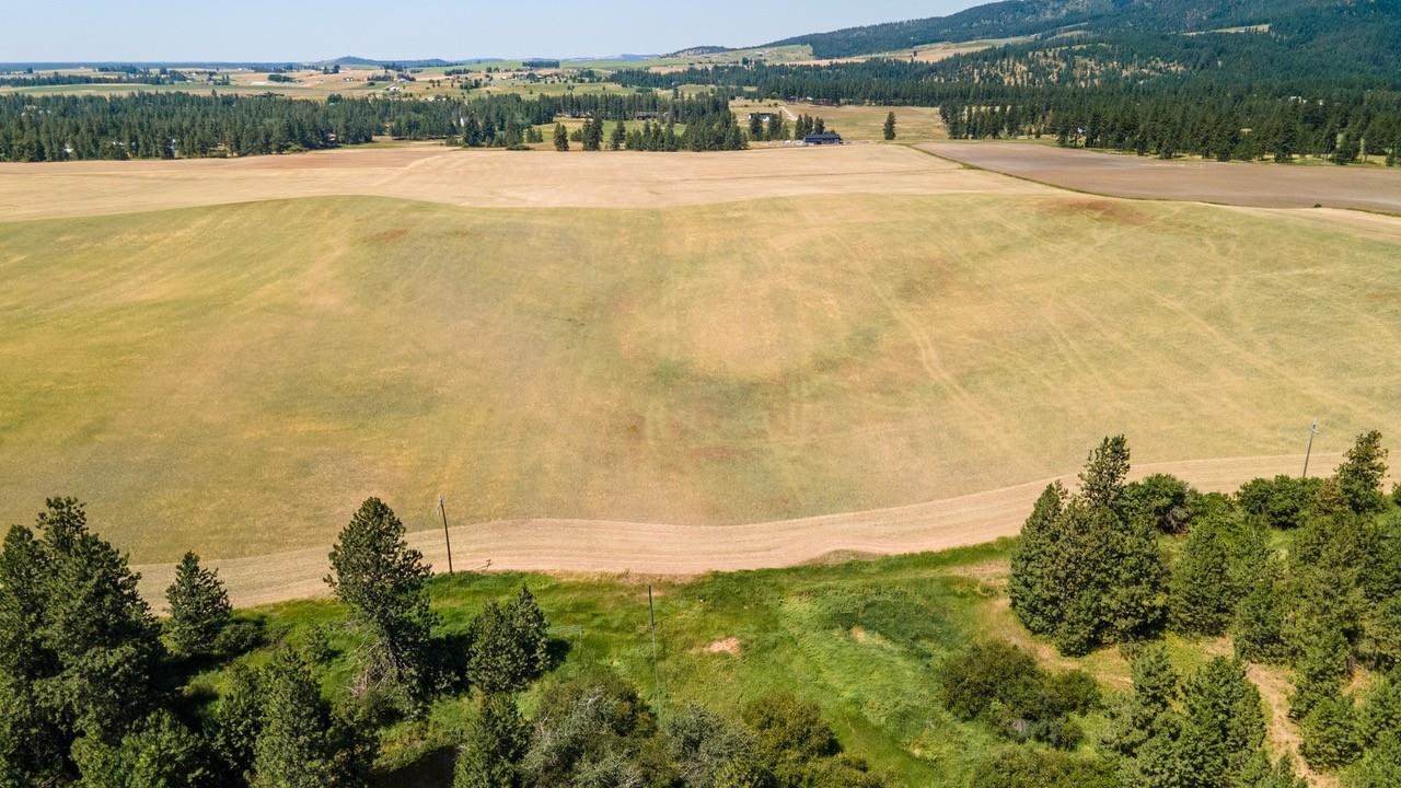 13507 East Gibbs Road Mica, WA 99023 - Photo 9 of 12