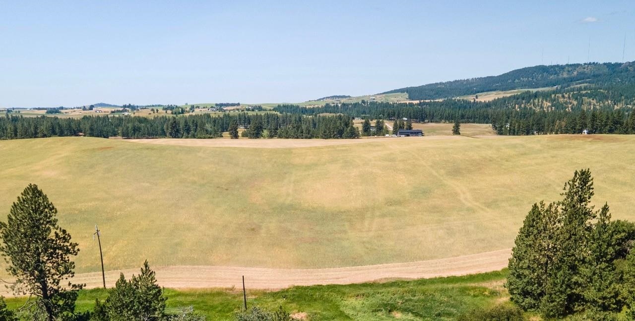 13507 East Gibbs Road Mica, WA 99023 - Photo 10 of 12