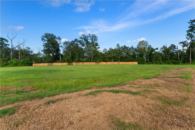 1207 Hwy Deville La Deville, LA 71328 - Photo 10 of 17