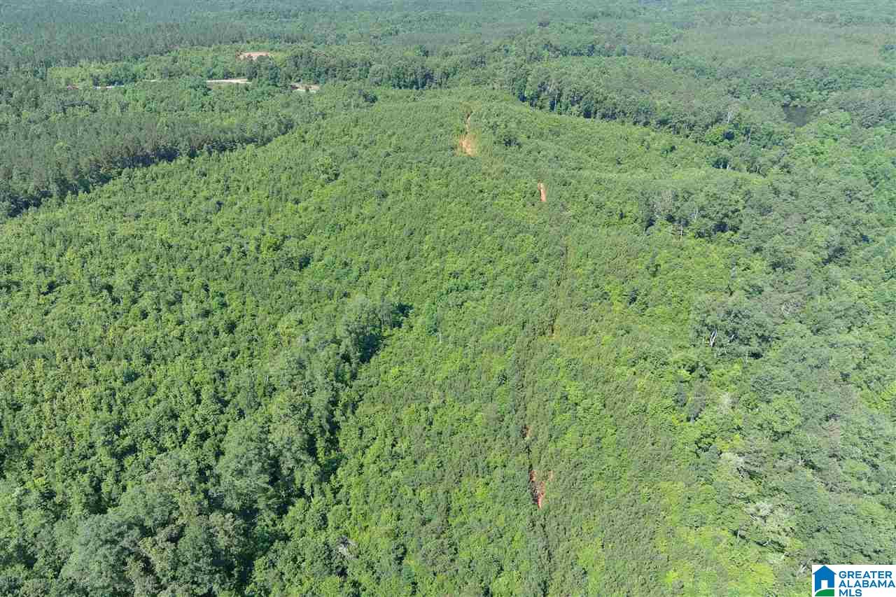 0 County Road 61, Unit 366 92 ACRES Fruithurst, AL 36262 - Photo 7 of 26