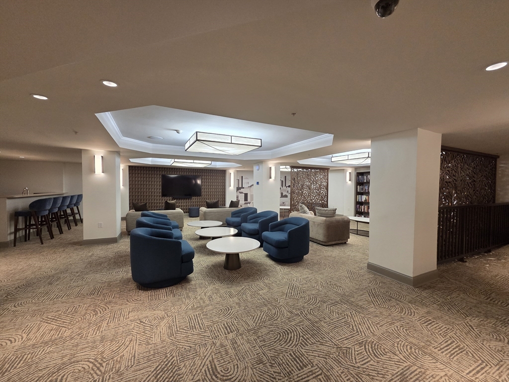 20 Chapel Street, Unit B811 Brookline, MA 02446 - Photo 33 of 41 a living room with lots of furniture and a potted plant