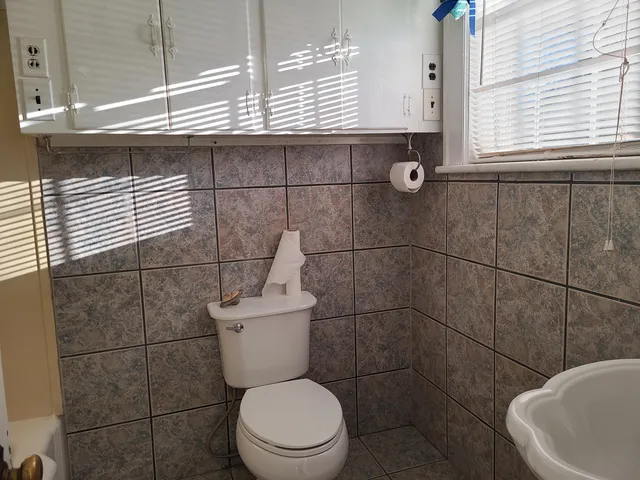a bathroom with a toilet a sink and mirror