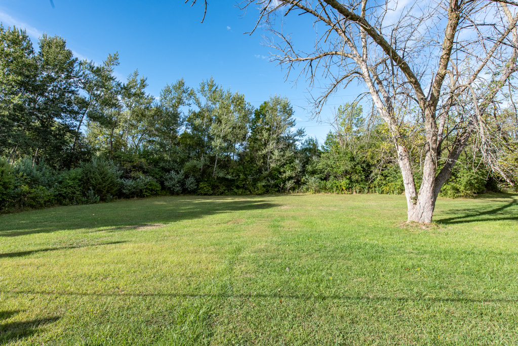 1636 Rice Street Waukegan, IL 60087 - Photo 25 of 26 a view of a yard with a tree