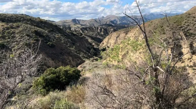 a view of a yard of a house