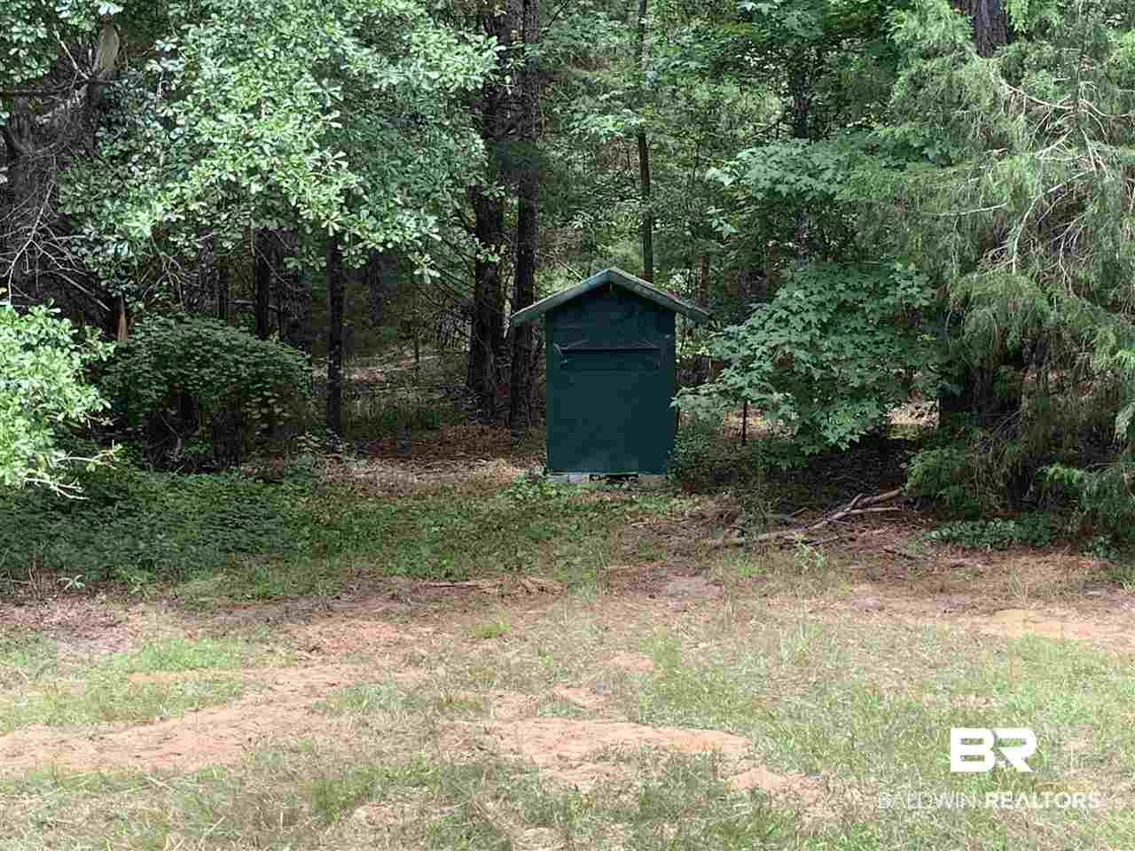 1178 Dry Lake Road Luverne, AL 36049 - Photo 18 of 50
