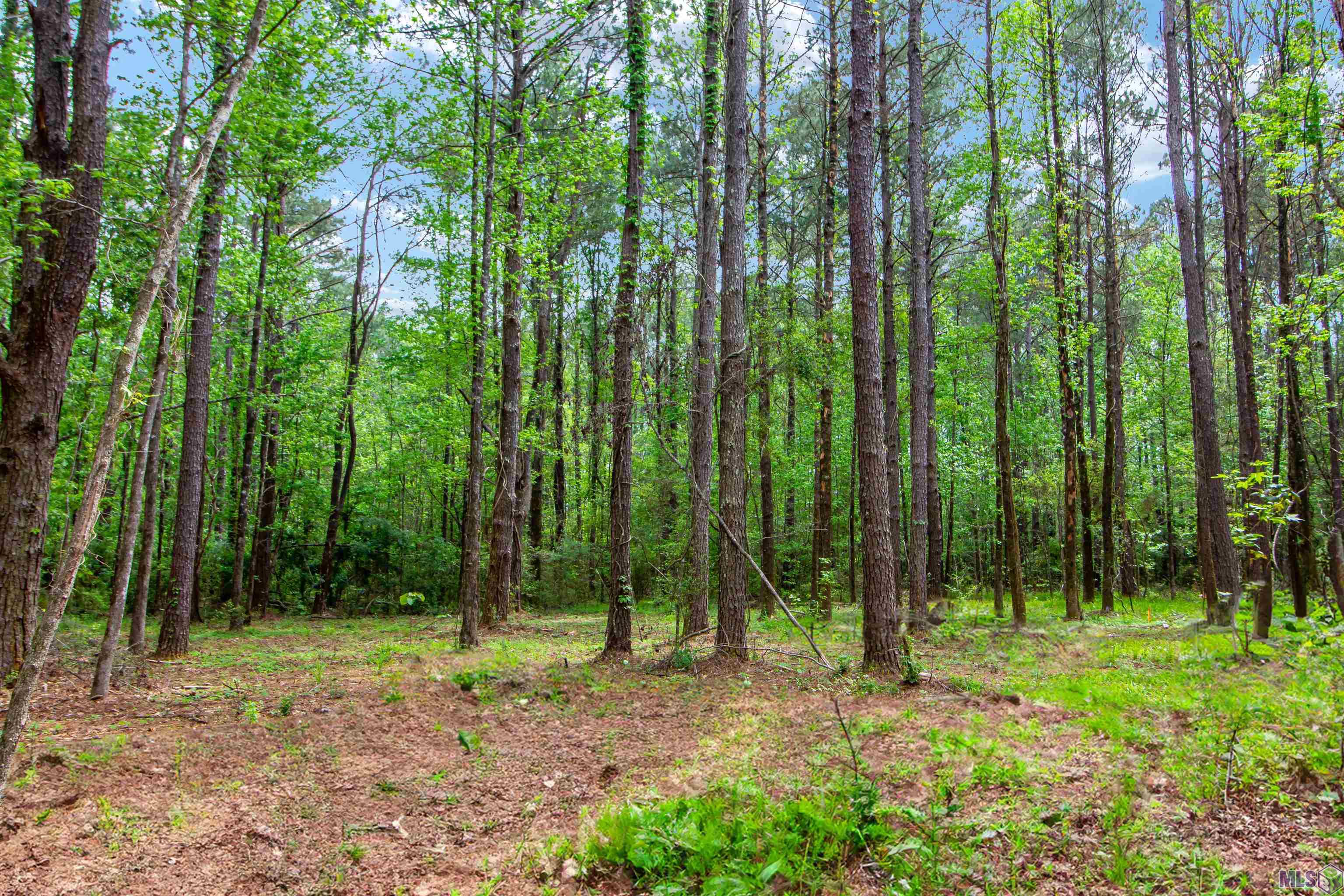 16 Denham Springs Denham Springs, LA 70706 - Photo 2 of 11