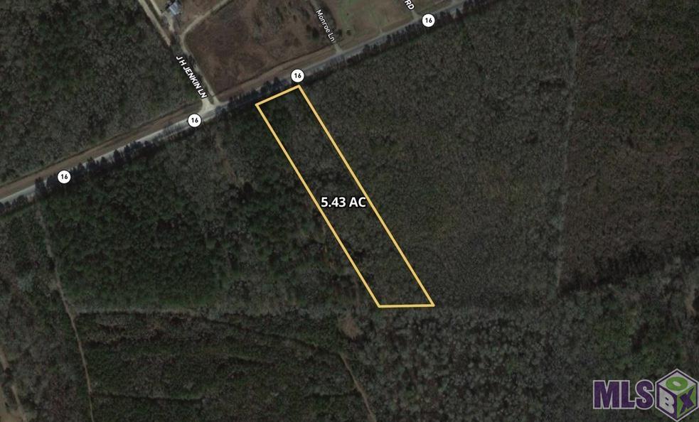 16 Denham Springs Denham Springs, LA 70706 - Photo 5 of 11