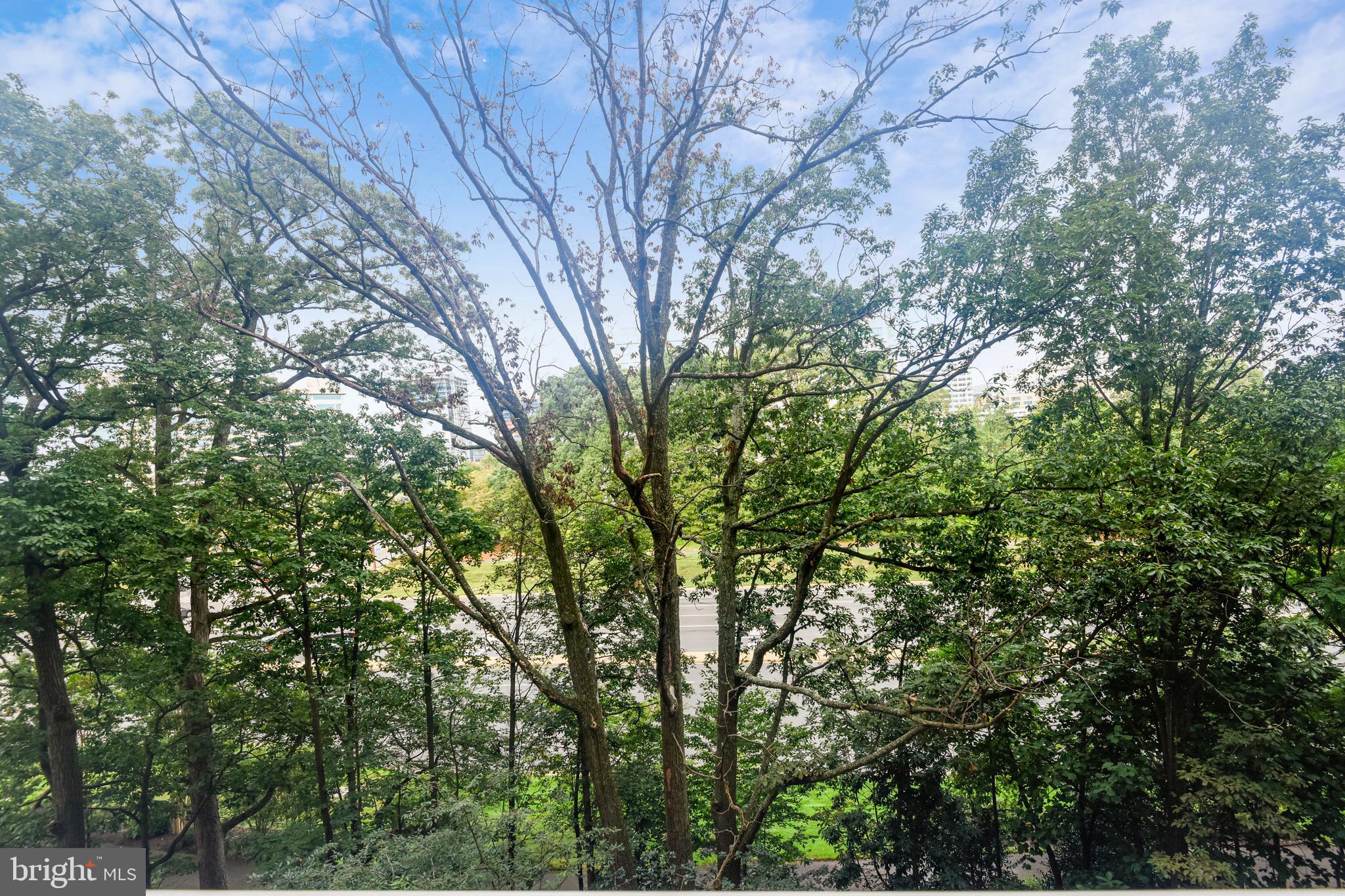 11800 Sunset Hills Road, Unit 712 Reston, VA 20190 - Photo 17 of 35 View from the balcony (7th floor)