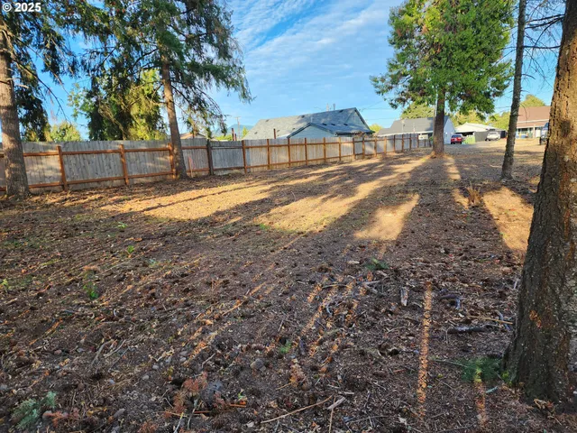 a view of a yard with large trees