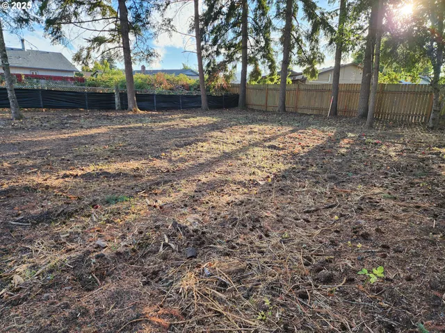a backyard of a house with lots of green space