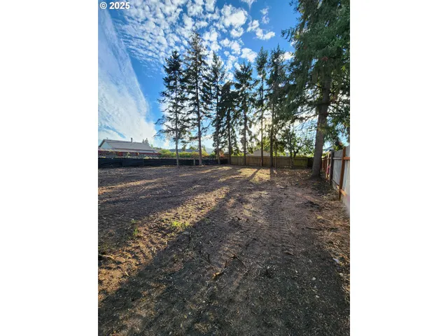 a view of a yard with trees