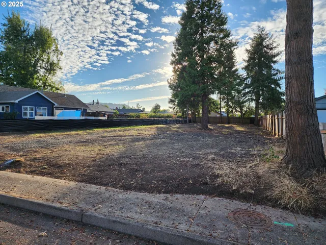 a view of a yard with a house in the background
