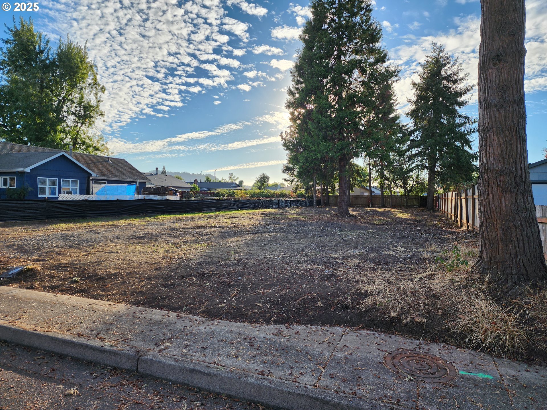 540 39th Street Springfield, OR 97478 - Photo 8 of 11 a view of a yard with a house in the background