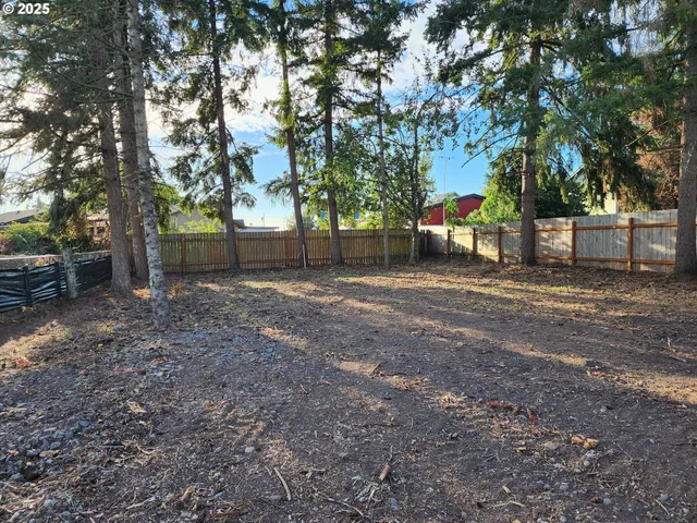 a backyard of a house with lots of green space