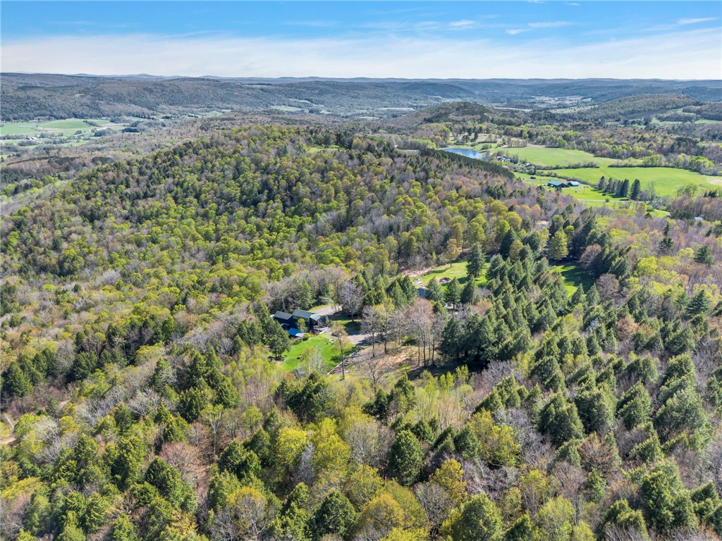 180 Campbell Hill Road Middlefield, NY 13326 - Photo 45 of 47