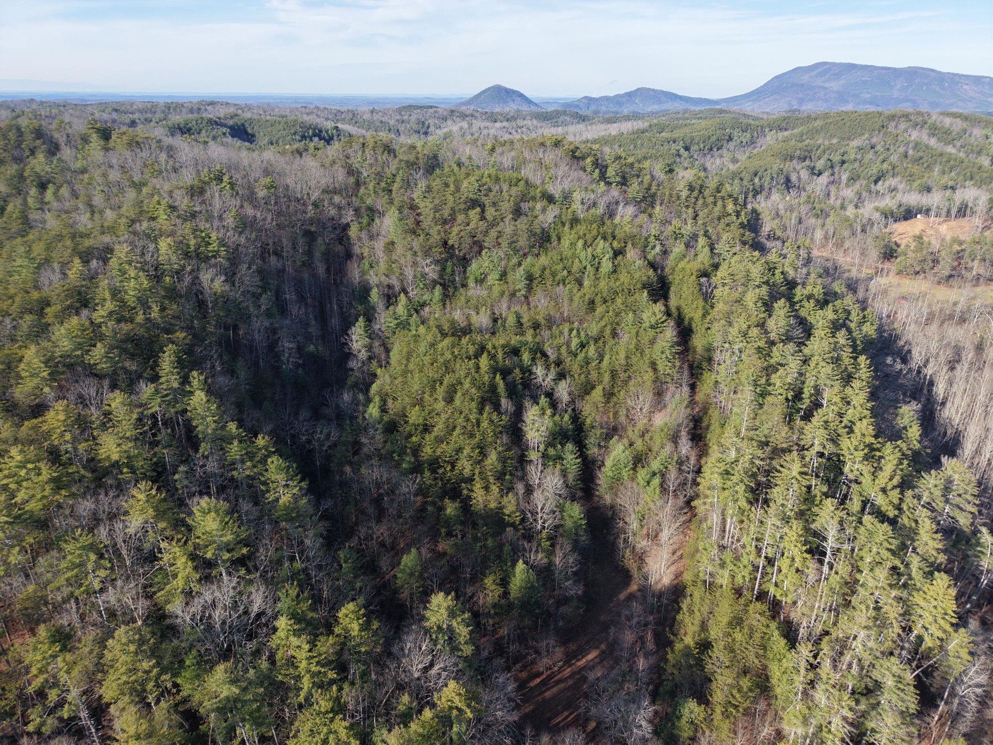 0 Bakers Creek Road Old Fort, TN 37362 - Photo 12 of 15