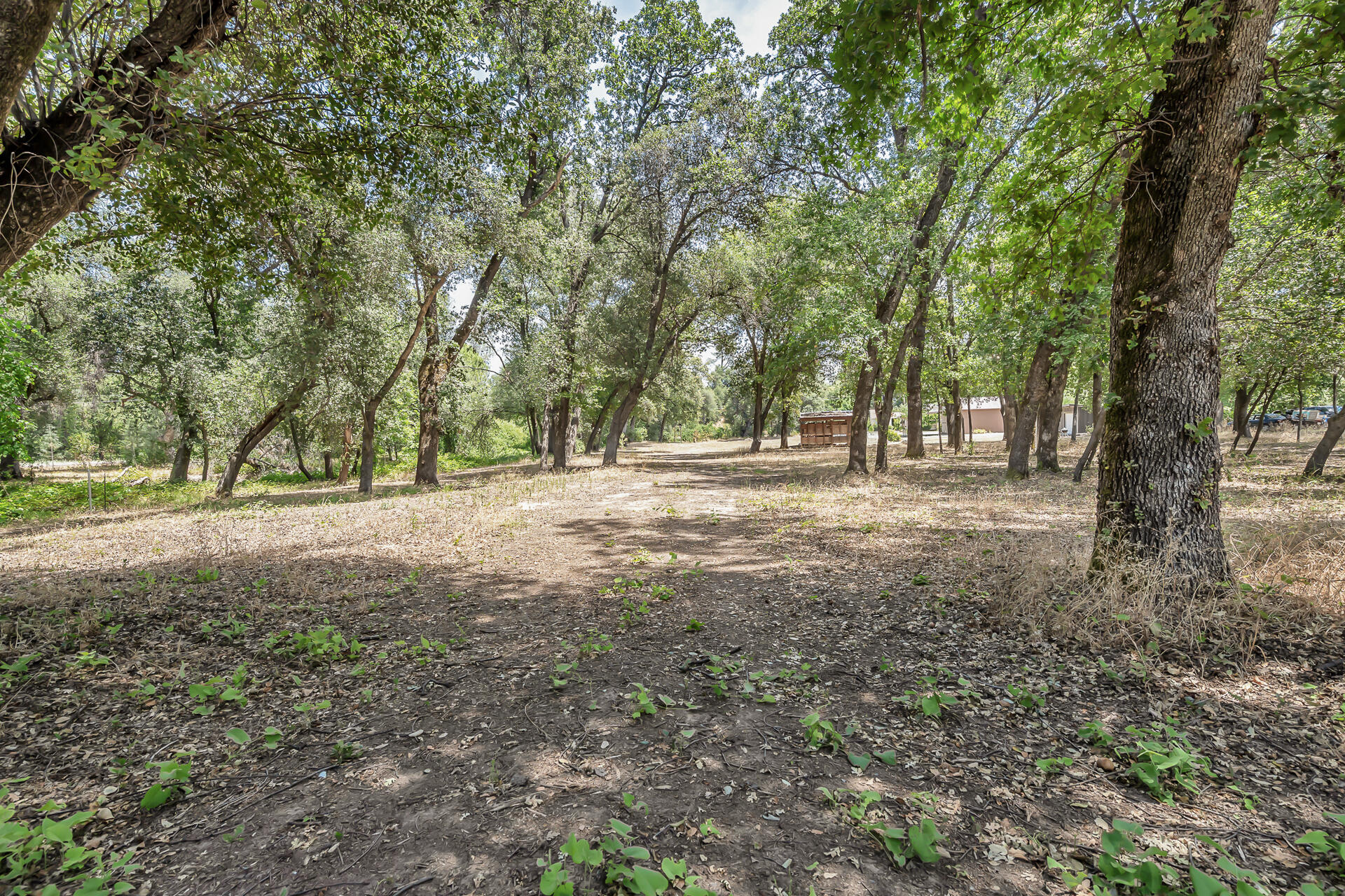 9626 Deschutes Road Palo Cedro, CA 96073 - Photo 58 of 60 9626DeschutesRoad-7