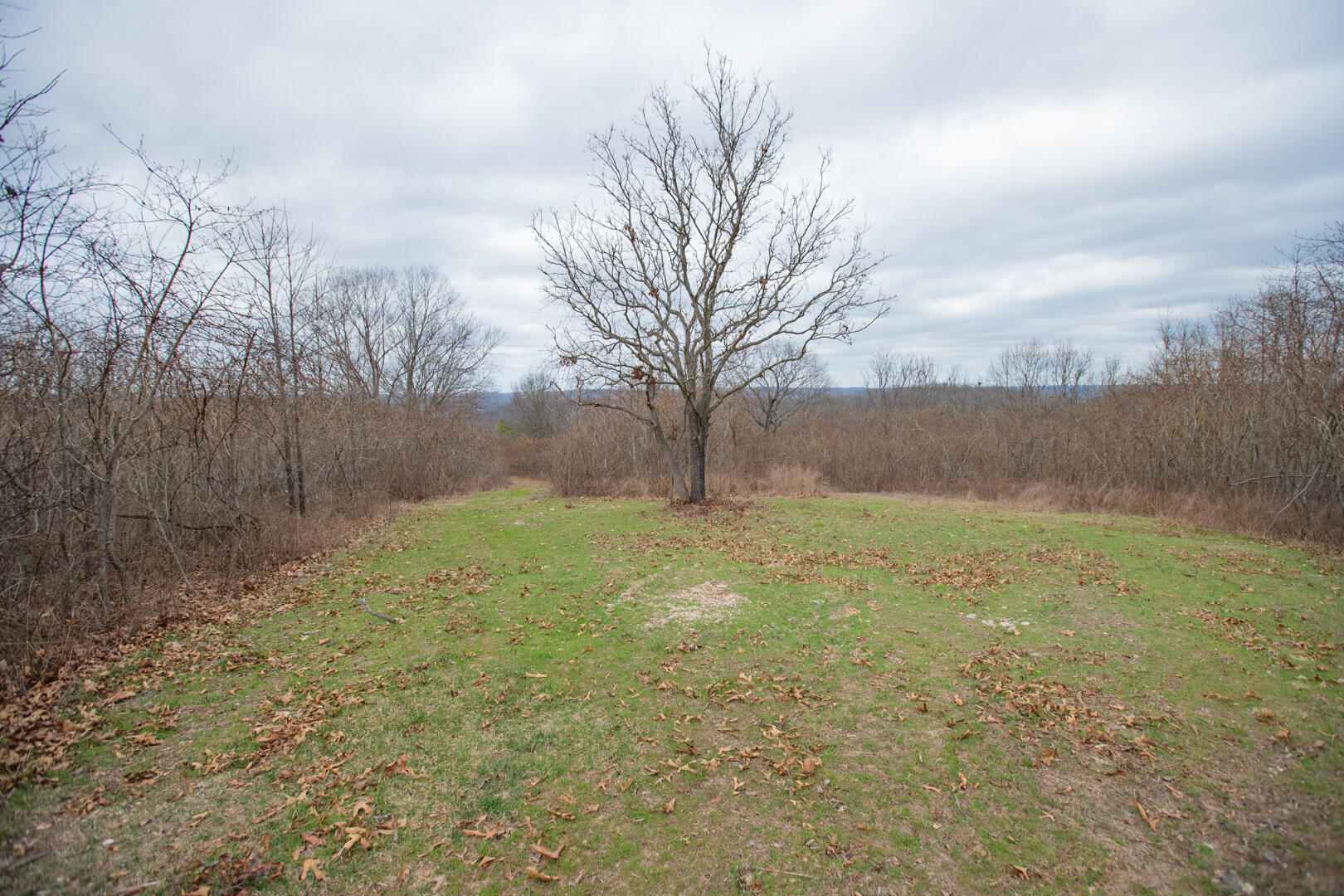 9015 Stallion Bluff Road Shell Knob, MO 65747 - Photo 34 of 49 4810d