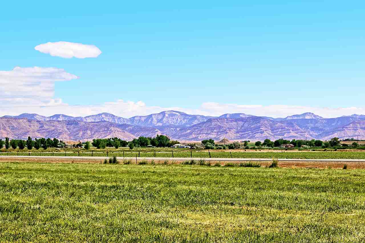 1545 16 Road Loma, CO 81524 - Photo 36 of 42 Gallery Image 36