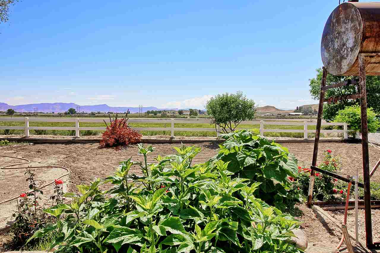 1545 16 Road Loma, CO 81524 - Photo 38 of 42 Gallery Image 38