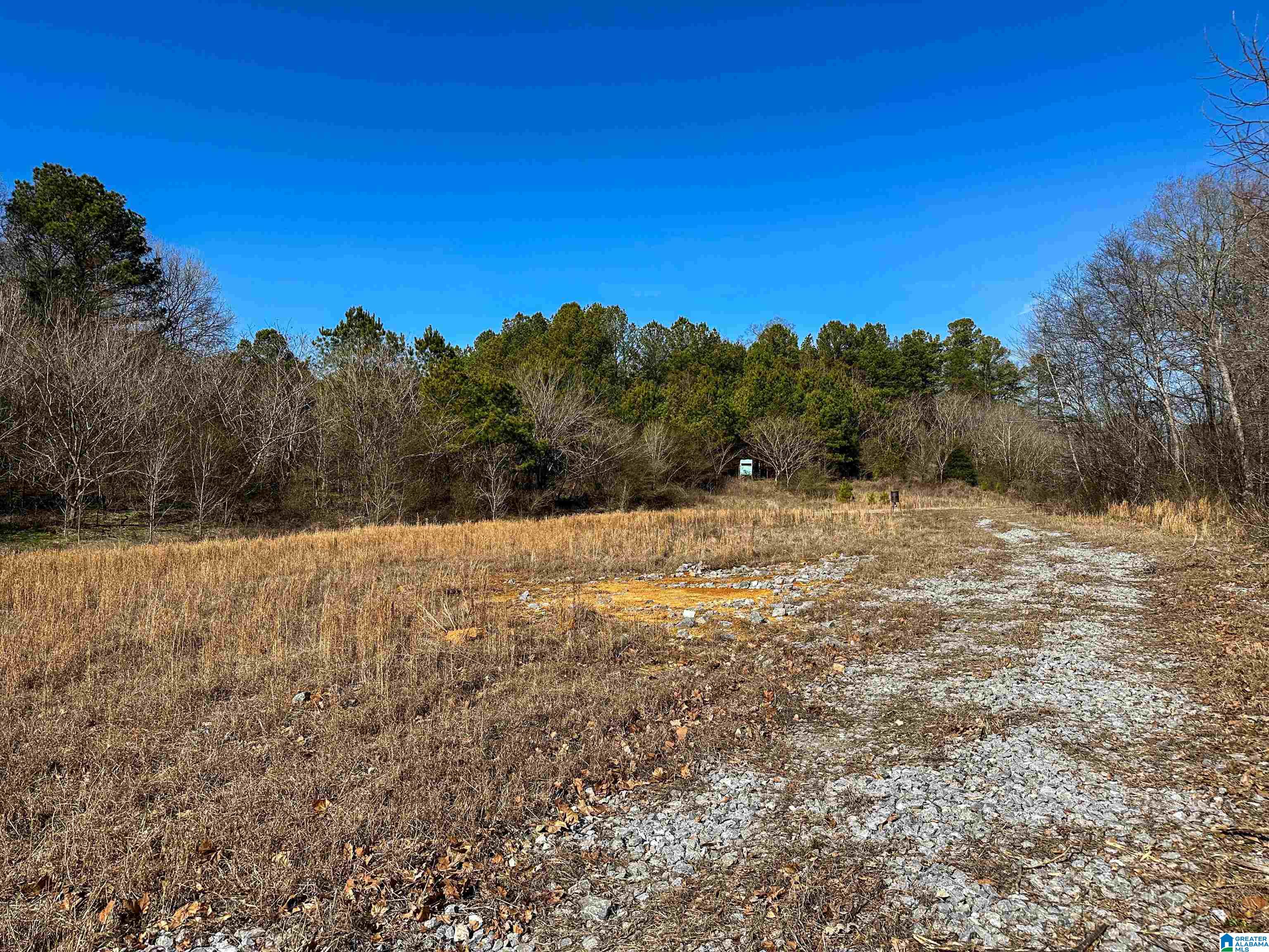1 Hull Road, Unit 1 Sumiton, AL 35148 - Photo 28 of 55 Gallery Image 28