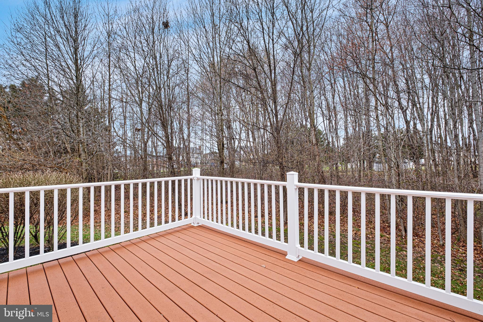 218 Derrickson Street Bear, DE 19701 - Photo 13 of 28 Deck